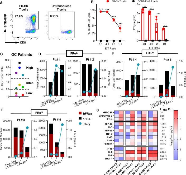 https://cdn.ncbi.nlm.nih.gov/pmc/blobs/06f6/10314690/c937eb975c75/jitc-2023-006863f01.jpg
