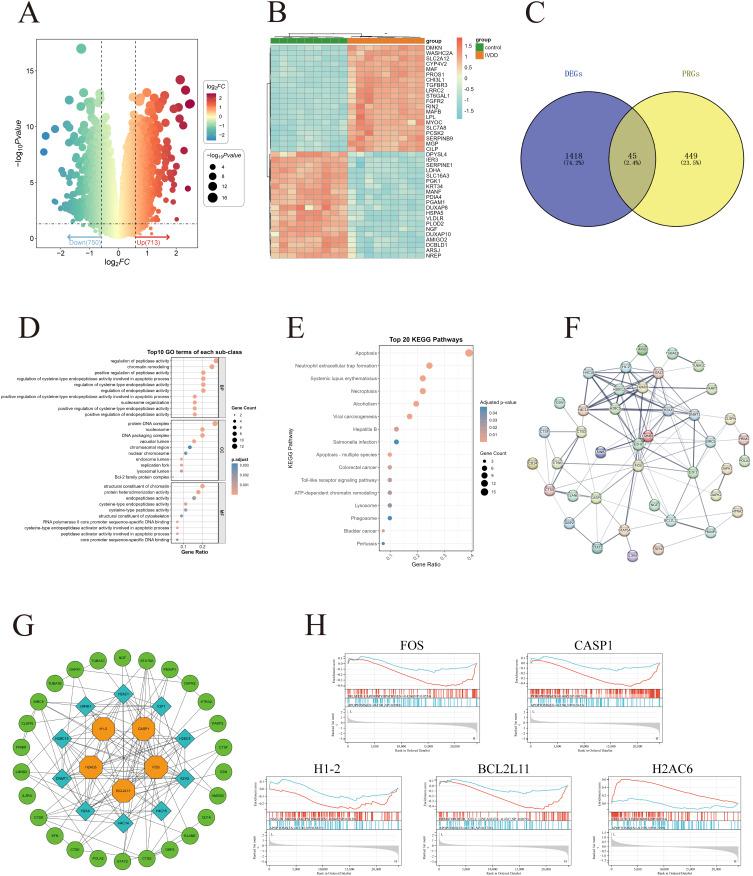 https://cdn.ncbi.nlm.nih.gov/pmc/blobs/06f6/12132057/26d772acef37/JIR-18-6963-g0002.jpg