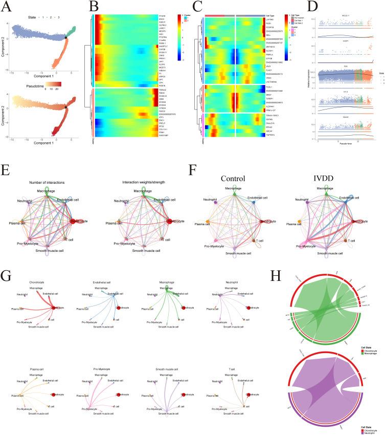 https://cdn.ncbi.nlm.nih.gov/pmc/blobs/06f6/12132057/b182f4e10576/JIR-18-6963-g0005.jpg