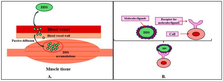 https://cdn.ncbi.nlm.nih.gov/pmc/blobs/06f7/11476378/6b164e1742aa/ijms-25-10766-g001.jpg