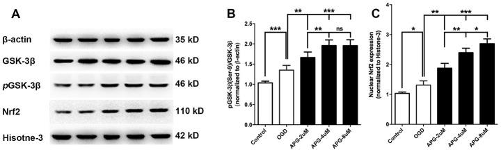 https://cdn.ncbi.nlm.nih.gov/pmc/blobs/06f7/7762462/3f3c024944f3/aging-12-104050-g002.jpg
