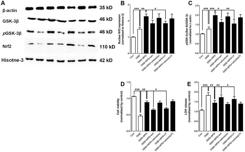 https://cdn.ncbi.nlm.nih.gov/pmc/blobs/06f7/7762462/5f3986b9d857/aging-12-104050-g004.jpg