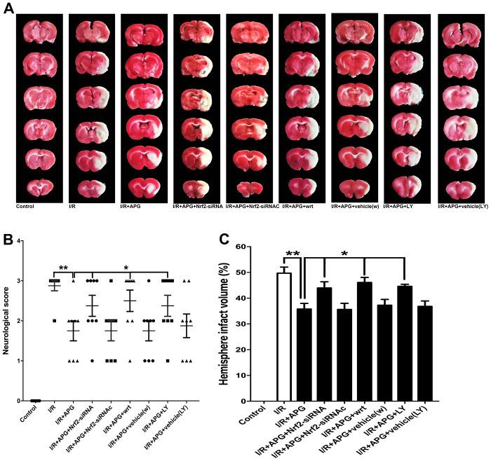 https://cdn.ncbi.nlm.nih.gov/pmc/blobs/06f7/7762462/dbca06d52a1c/aging-12-104050-g007.jpg