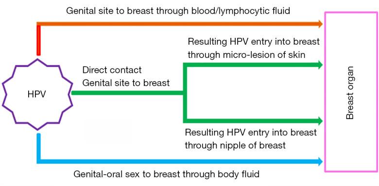 https://cdn.ncbi.nlm.nih.gov/pmc/blobs/06f8/7290605/50b14fc8c0db/atm-08-10-650-f2.jpg