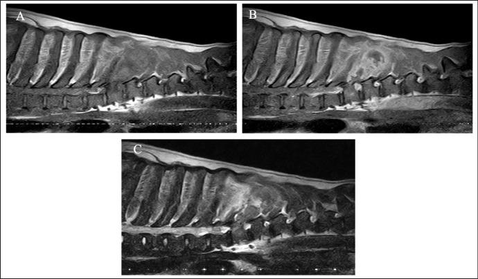 https://cdn.ncbi.nlm.nih.gov/pmc/blobs/06fb/10072830/d83a17c09dff/OpenVetJ-13-394-g003.jpg