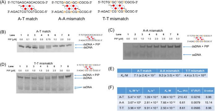 https://cdn.ncbi.nlm.nih.gov/pmc/blobs/06fb/11134352/8d1e50ad206e/au3c00830_0004.jpg