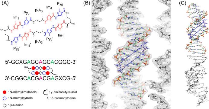 https://cdn.ncbi.nlm.nih.gov/pmc/blobs/06fb/11134352/b84b1305eaf8/au3c00830_0001.jpg