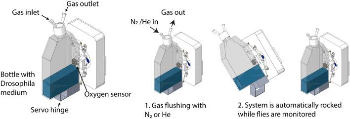 https://cdn.ncbi.nlm.nih.gov/pmc/blobs/06fc/11180128/1ebe8a12794d/41598_2024_64114_Fig1_HTML.jpg