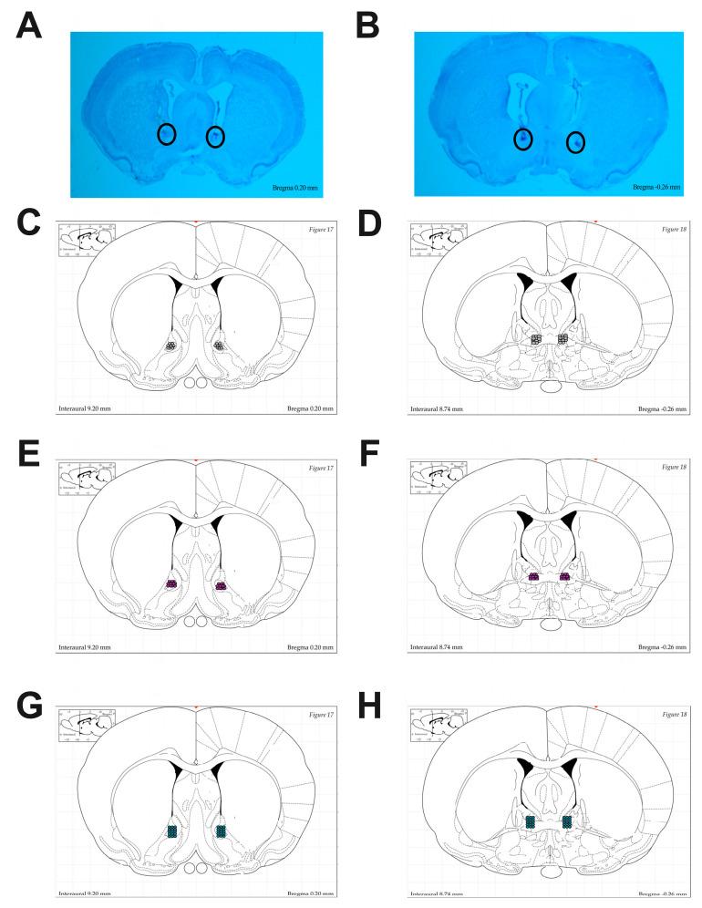 https://cdn.ncbi.nlm.nih.gov/pmc/blobs/06fc/11674907/fdf8a1bb5c61/brainsci-14-01287-g002.jpg