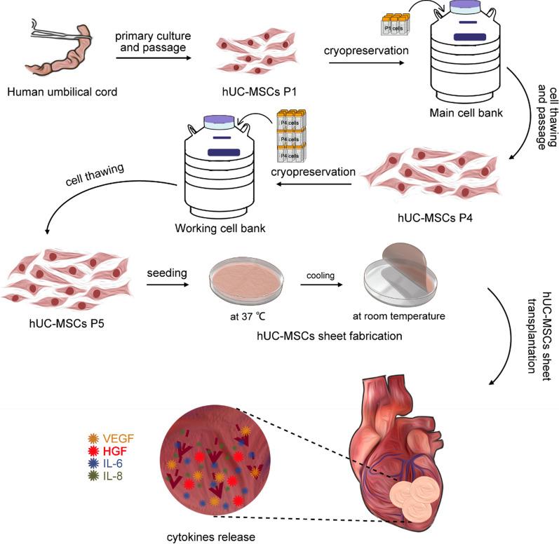 https://cdn.ncbi.nlm.nih.gov/pmc/blobs/06fc/9188245/45a2a53be7d3/13287_2022_2919_Fig1_HTML.jpg