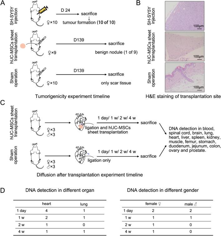 https://cdn.ncbi.nlm.nih.gov/pmc/blobs/06fc/9188245/587576b7e7da/13287_2022_2919_Fig5_HTML.jpg