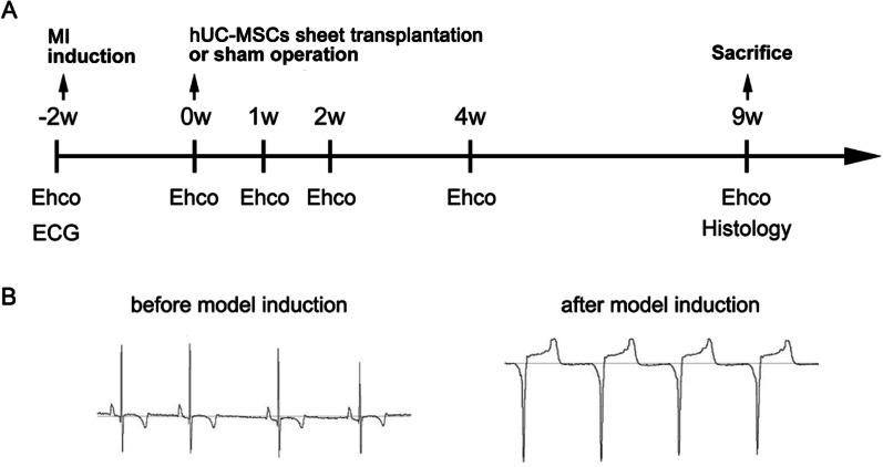 https://cdn.ncbi.nlm.nih.gov/pmc/blobs/06fc/9188245/9400696856ba/13287_2022_2919_Fig6_HTML.jpg