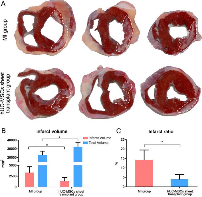 https://cdn.ncbi.nlm.nih.gov/pmc/blobs/06fc/9188245/9b9f5a95748c/13287_2022_2919_Fig8_HTML.jpg