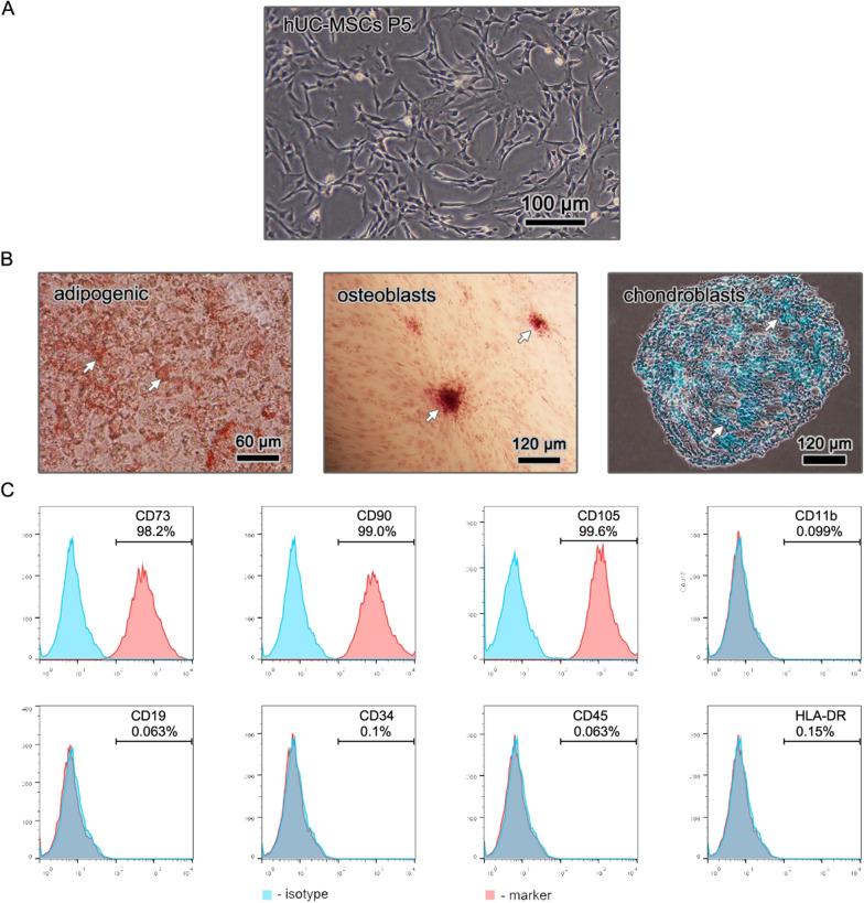 https://cdn.ncbi.nlm.nih.gov/pmc/blobs/06fc/9188245/e18241217006/13287_2022_2919_Fig2_HTML.jpg