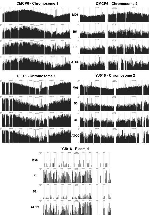 https://cdn.ncbi.nlm.nih.gov/pmc/blobs/06fd/3091676/390cd669a7a8/1471-2164-11-512-1.jpg