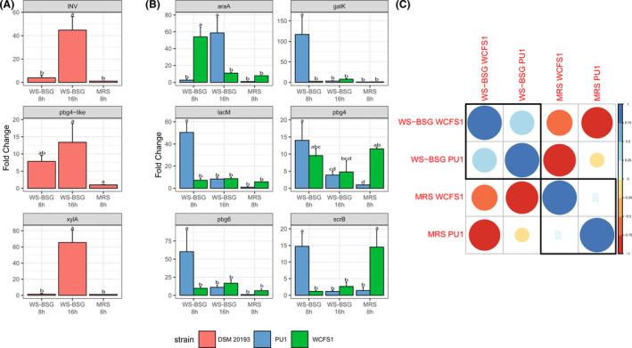 https://cdn.ncbi.nlm.nih.gov/pmc/blobs/06fd/8913874/70e06016e90c/MBT2-15-915-g001.jpg
