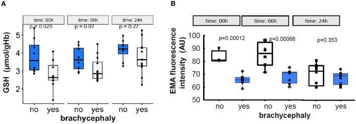 https://cdn.ncbi.nlm.nih.gov/pmc/blobs/06ff/10464621/0ca3a8a667cb/fvets-10-1166032-g0007.jpg