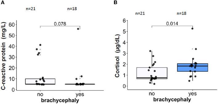 https://cdn.ncbi.nlm.nih.gov/pmc/blobs/06ff/10464621/342468d967be/fvets-10-1166032-g0005.jpg