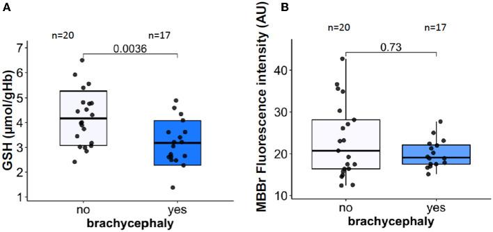 https://cdn.ncbi.nlm.nih.gov/pmc/blobs/06ff/10464621/ddfc943adb39/fvets-10-1166032-g0004.jpg