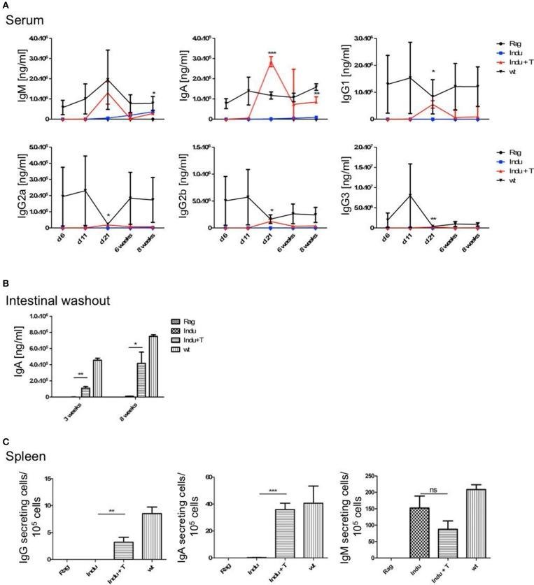 https://cdn.ncbi.nlm.nih.gov/pmc/blobs/0702/6220648/5de3eaf24355/fimmu-09-02483-g0005.jpg