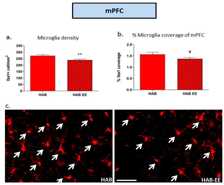 https://cdn.ncbi.nlm.nih.gov/pmc/blobs/0704/9657487/2129ad03b30f/ijms-23-13052-g005.jpg