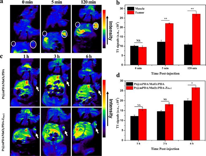 https://cdn.ncbi.nlm.nih.gov/pmc/blobs/0705/8120847/3169c6937398/12951_2021_885_Fig4_HTML.jpg
