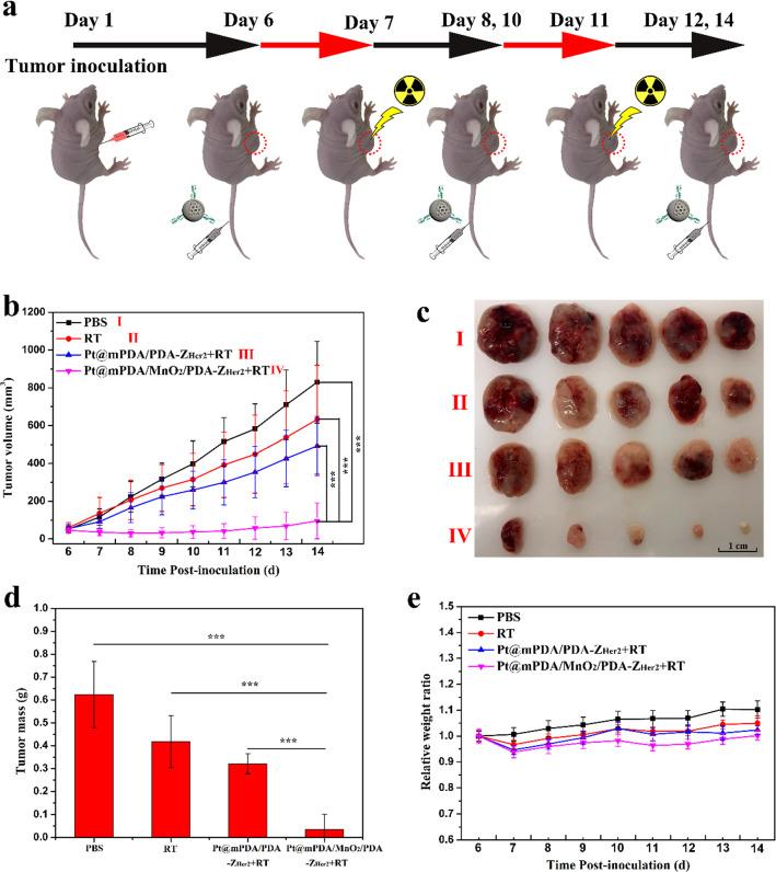 https://cdn.ncbi.nlm.nih.gov/pmc/blobs/0705/8120847/f0356bea0d20/12951_2021_885_Fig8_HTML.jpg