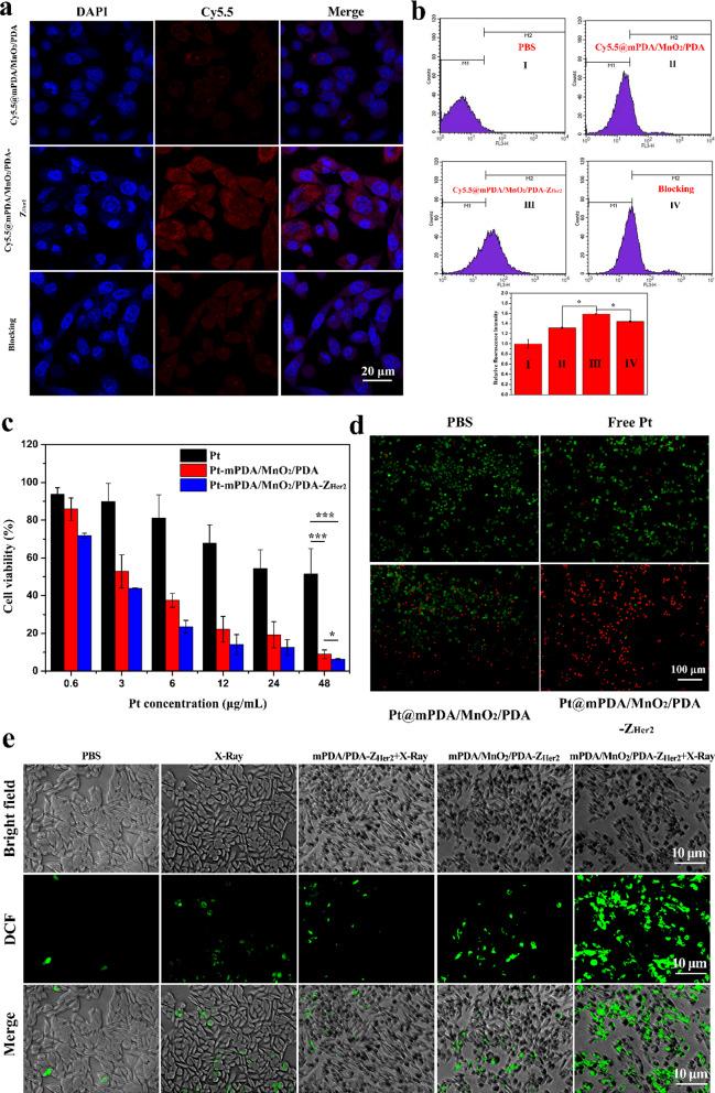 https://cdn.ncbi.nlm.nih.gov/pmc/blobs/0705/8120847/f60c56f79b36/12951_2021_885_Fig3_HTML.jpg