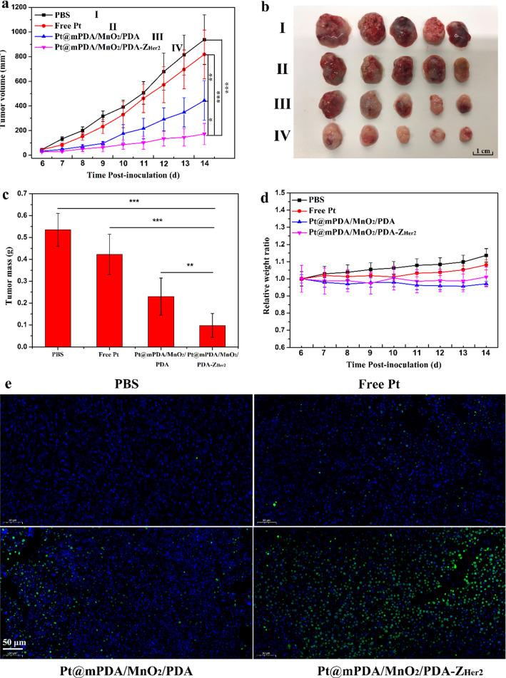 https://cdn.ncbi.nlm.nih.gov/pmc/blobs/0705/8120847/ff776d6fd9da/12951_2021_885_Fig7_HTML.jpg