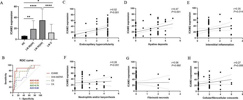 https://cdn.ncbi.nlm.nih.gov/pmc/blobs/0706/12020755/985ed7cb05eb/lupus-12-1-g003.jpg