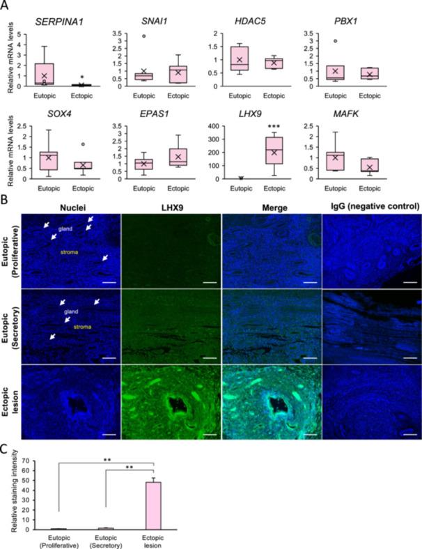 https://cdn.ncbi.nlm.nih.gov/pmc/blobs/0706/12349750/4c6ba9c80c26/MRD-92-e70046-g002.jpg