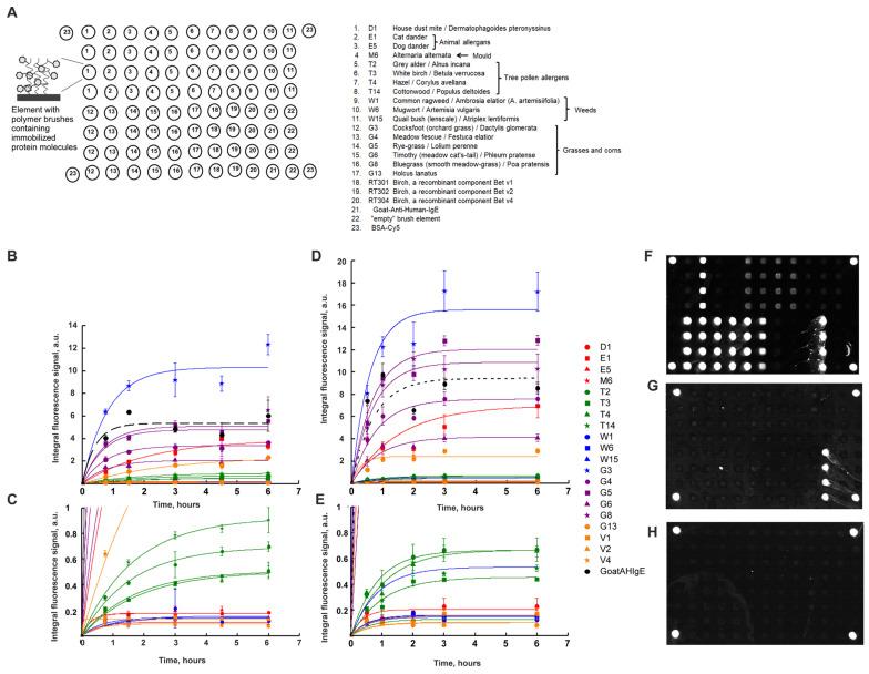 https://cdn.ncbi.nlm.nih.gov/pmc/blobs/0707/11642343/f011356bf66d/ijms-25-13047-g002.jpg