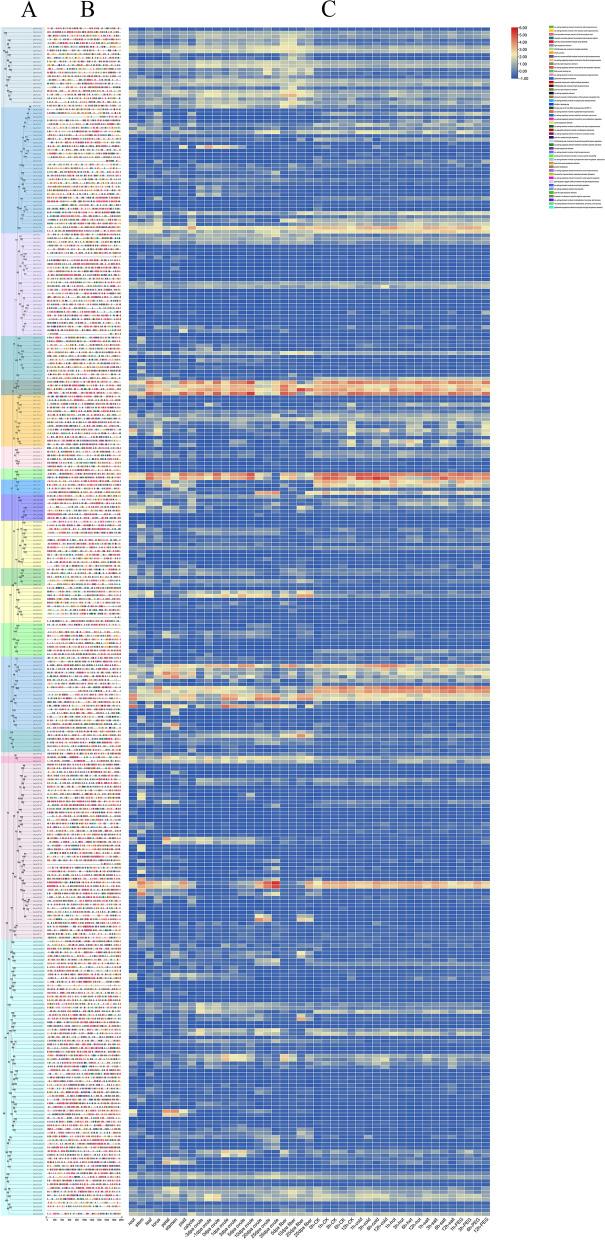 https://cdn.ncbi.nlm.nih.gov/pmc/blobs/0708/9985220/1b178686b6c0/12870_2023_4133_Fig6_HTML.jpg