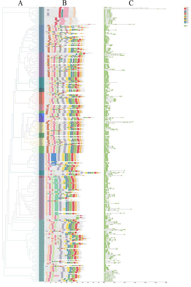 https://cdn.ncbi.nlm.nih.gov/pmc/blobs/0708/9985220/d41c49a1215b/12870_2023_4133_Fig5_HTML.jpg