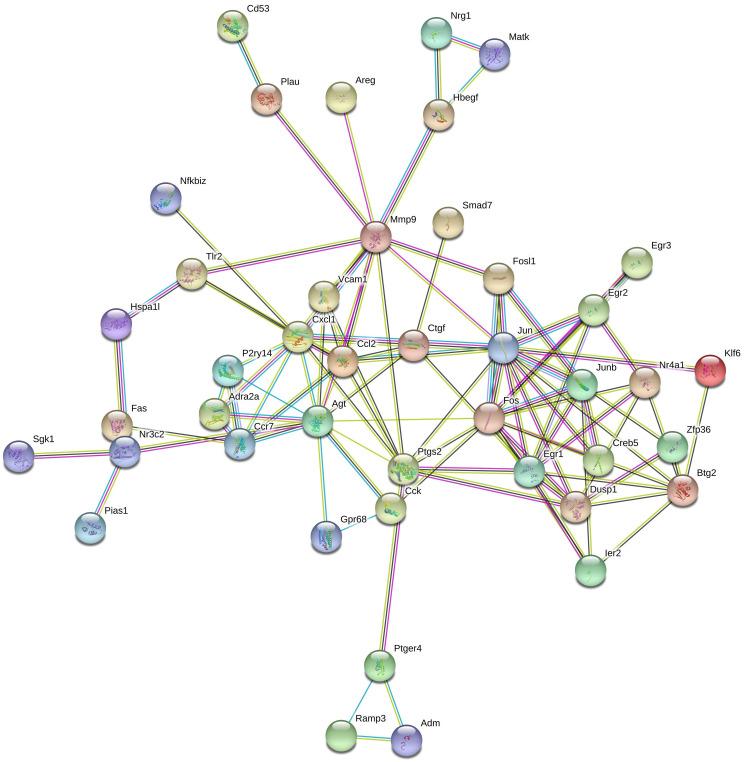 https://cdn.ncbi.nlm.nih.gov/pmc/blobs/0709/8034905/26bd3f75afcd/aging-13-202749-g008.jpg