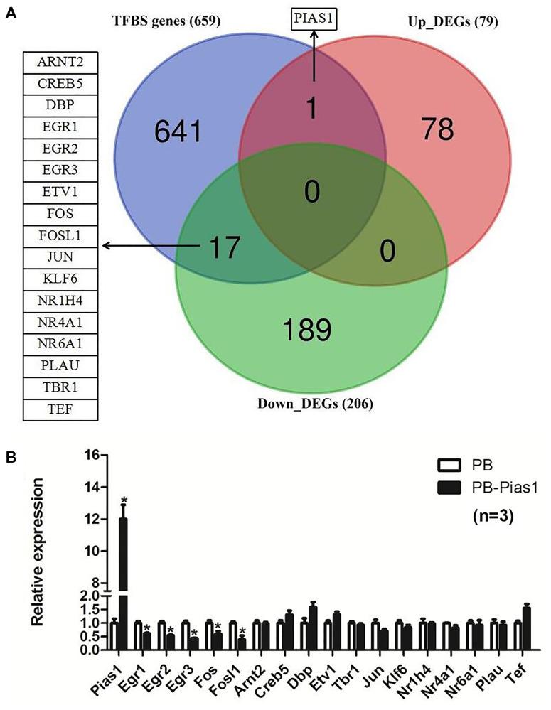 https://cdn.ncbi.nlm.nih.gov/pmc/blobs/0709/8034905/5f76b2249d24/aging-13-202749-g007.jpg