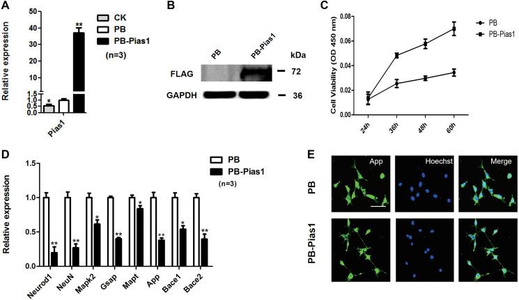 https://cdn.ncbi.nlm.nih.gov/pmc/blobs/0709/8034905/dc8ea729b2cb/aging-13-202749-g002.jpg