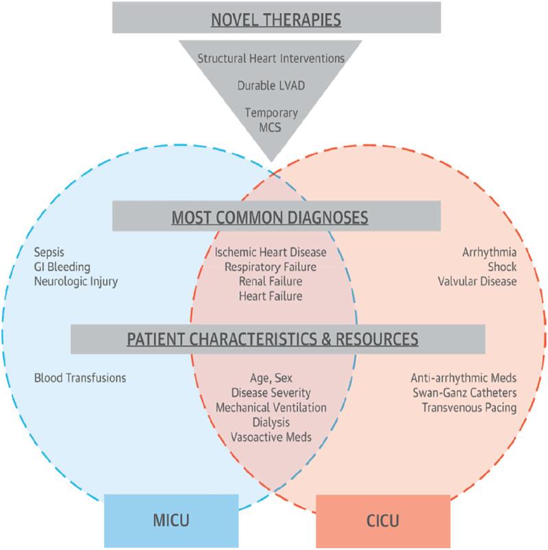 https://cdn.ncbi.nlm.nih.gov/pmc/blobs/070a/10704904/dda765c4ac72/fcvm-10-1201414-g003.jpg