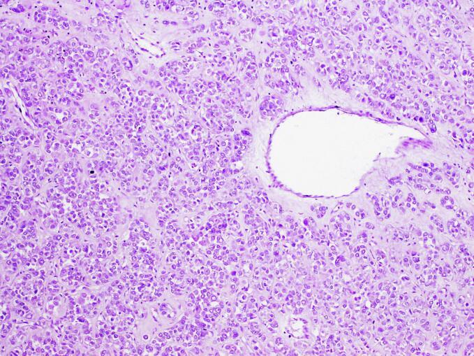 https://cdn.ncbi.nlm.nih.gov/pmc/blobs/070b/11562393/0d24c2403dc7/gr1.jpg
