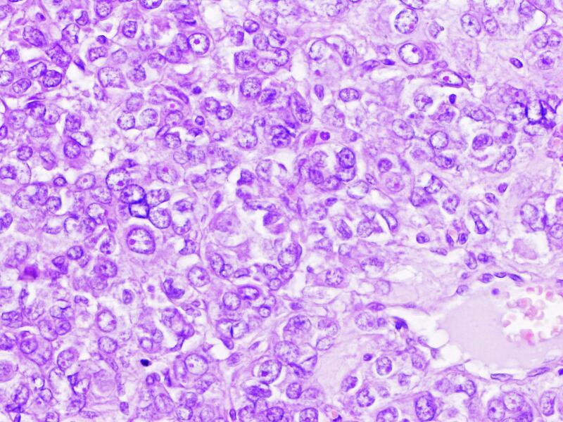 https://cdn.ncbi.nlm.nih.gov/pmc/blobs/070b/11562393/7ffc320d287d/gr3.jpg