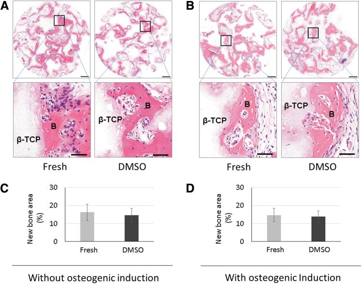 https://cdn.ncbi.nlm.nih.gov/pmc/blobs/070b/8064946/6f46956fc546/ten.tec.2021.0001_figure5.jpg