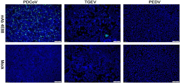 https://cdn.ncbi.nlm.nih.gov/pmc/blobs/070d/7013544/515679caa9fc/ijms-21-00648-g005.jpg