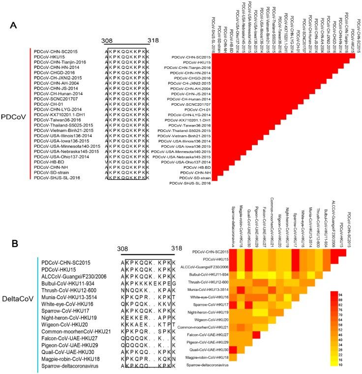 https://cdn.ncbi.nlm.nih.gov/pmc/blobs/070d/7013544/db17b0d8bd68/ijms-21-00648-g006a.jpg