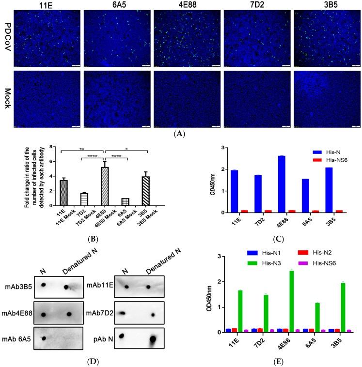 https://cdn.ncbi.nlm.nih.gov/pmc/blobs/070d/7013544/f251488800f2/ijms-21-00648-g002.jpg