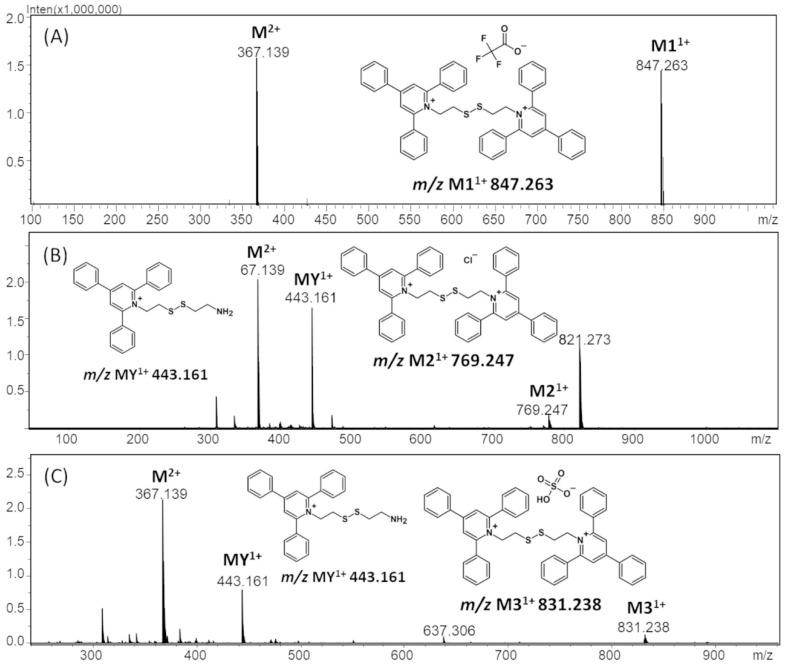 https://cdn.ncbi.nlm.nih.gov/pmc/blobs/070e/10970393/0005a9a26b3d/ijms-25-03467-g003.jpg