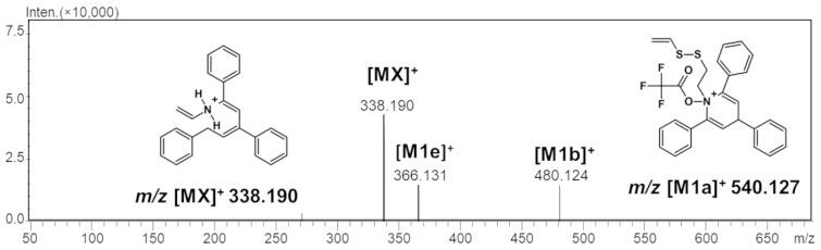 https://cdn.ncbi.nlm.nih.gov/pmc/blobs/070e/10970393/96cc485a5f1d/ijms-25-03467-g004.jpg