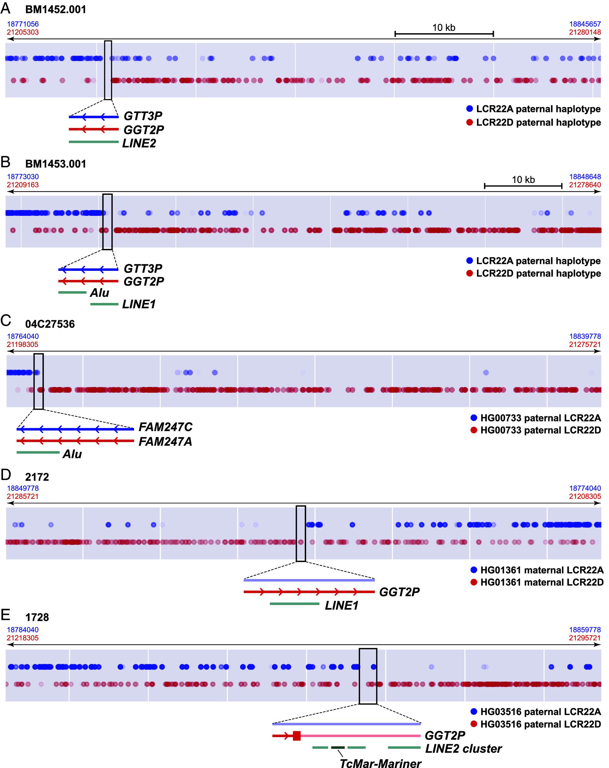 https://cdn.ncbi.nlm.nih.gov/pmc/blobs/070e/11295037/3b8a9bca0cd2/pnas.2322834121fig04.jpg