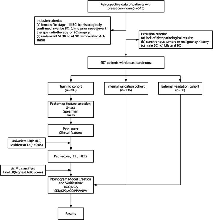 https://cdn.ncbi.nlm.nih.gov/pmc/blobs/070f/12399835/5a4eec1e7e96/CNR2-8-e70302-g001.jpg