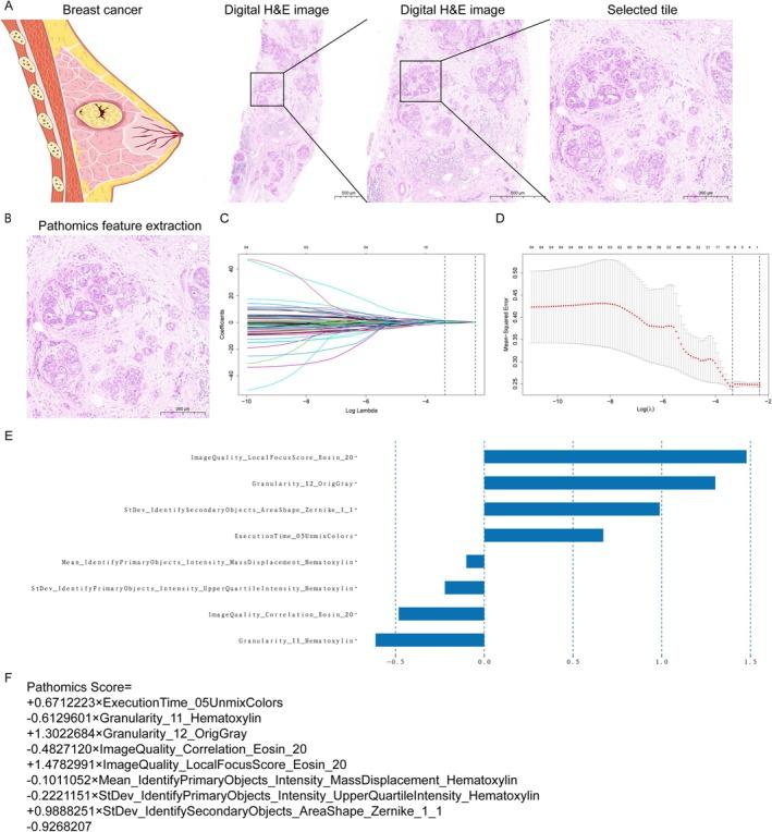 https://cdn.ncbi.nlm.nih.gov/pmc/blobs/070f/12399835/bb58c7186e8e/CNR2-8-e70302-g004.jpg