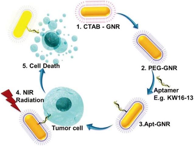https://cdn.ncbi.nlm.nih.gov/pmc/blobs/0710/5683342/a65891425f82/12951_2017_311_Fig10_HTML.jpg